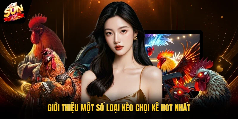 Giới thiệu một số loại kèo chọi kê hot nhất