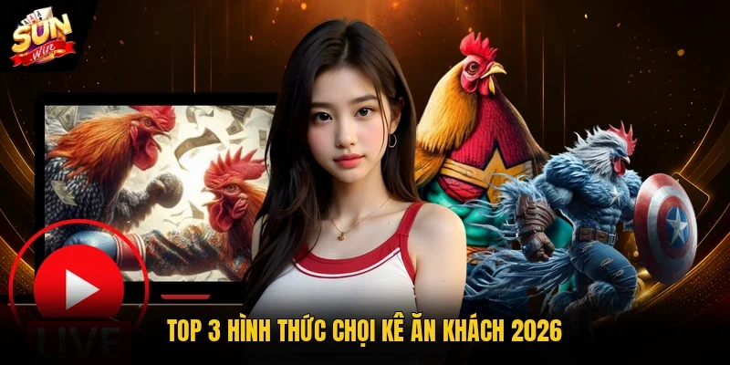 Top 3 hình thức chọi kê ăn khách 2026